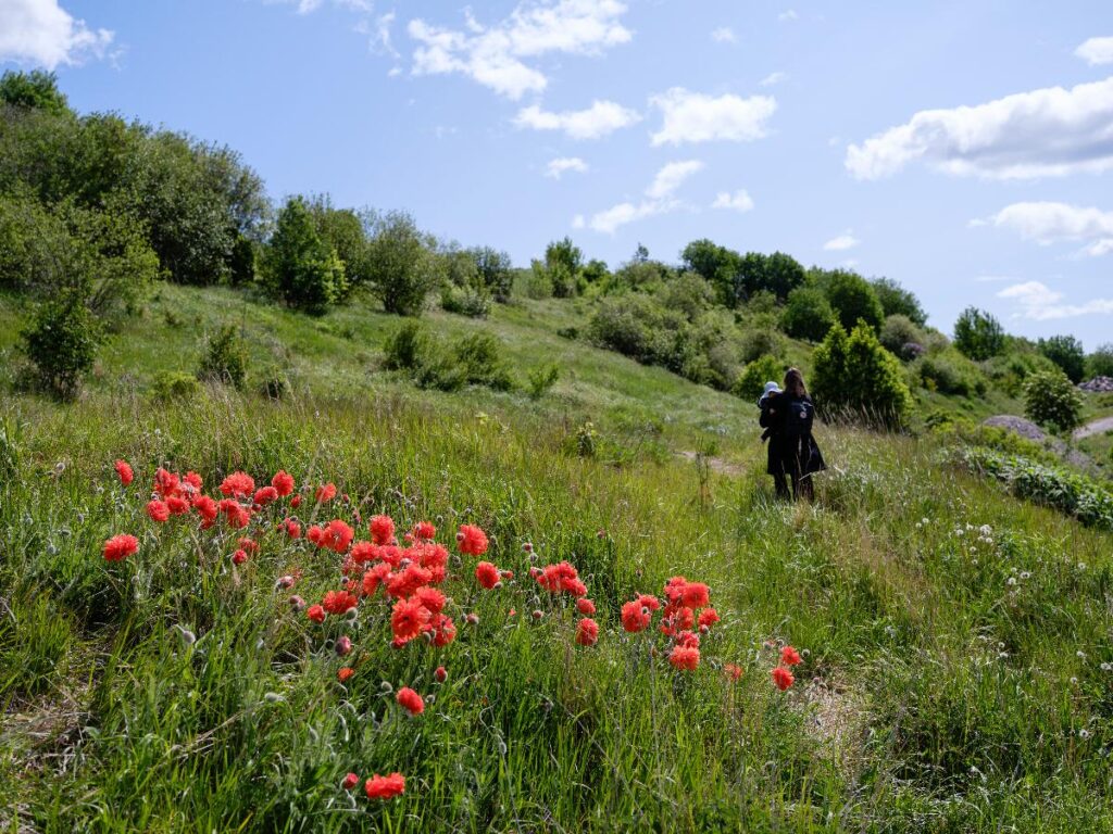Vuosaari Peak in Helsinki